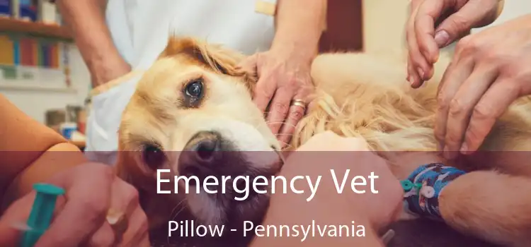 Emergency Vet Pillow - Pennsylvania