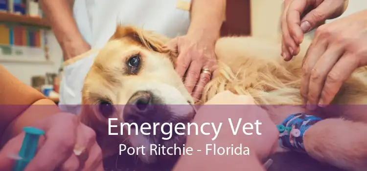 Emergency Vet Port Ritchie - Florida