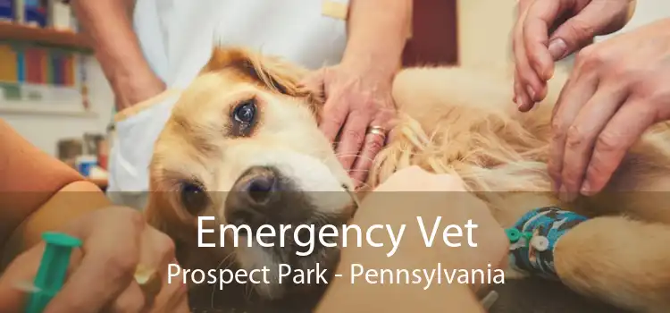 Emergency Vet Prospect Park - Pennsylvania