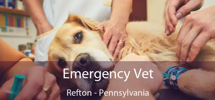 Emergency Vet Refton - Pennsylvania