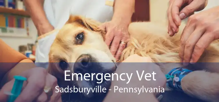 Emergency Vet Sadsburyville - Pennsylvania