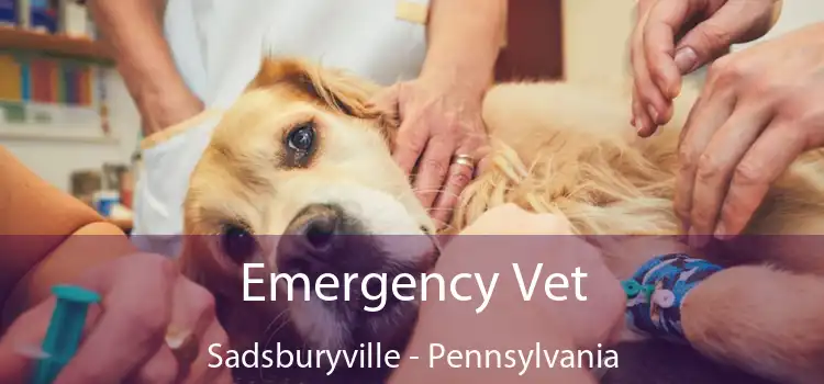 Emergency Vet Sadsburyville - Pennsylvania