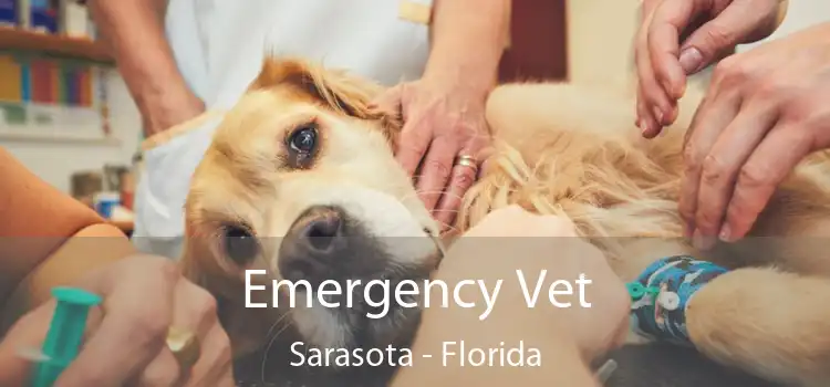 Emergency Vet Sarasota - Florida