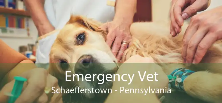 Emergency Vet Schaefferstown - Pennsylvania