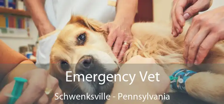 Emergency Vet Schwenksville - Pennsylvania