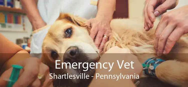 Emergency Vet Shartlesville - Pennsylvania