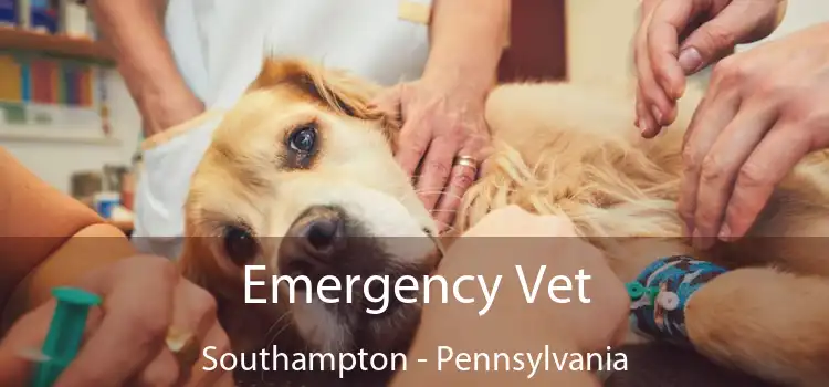 Emergency Vet Southampton - Pennsylvania