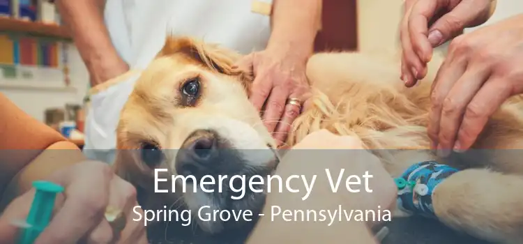 Emergency Vet Spring Grove - Pennsylvania