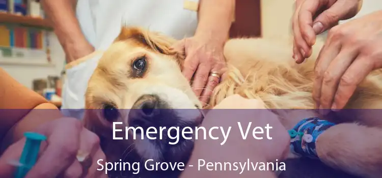 Emergency Vet Spring Grove - Pennsylvania