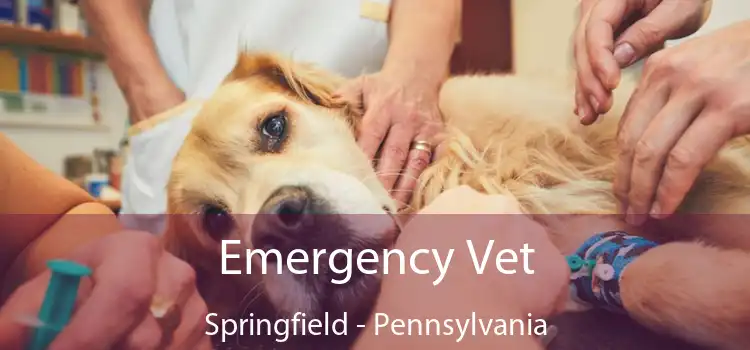 Emergency Vet Springfield - Pennsylvania