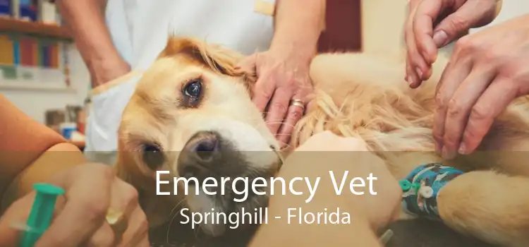 Emergency Vet Springhill - Florida