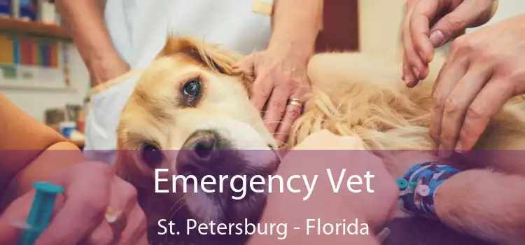 Emergency Vet St. Petersburg - Florida