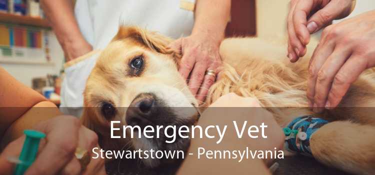 Emergency Vet Stewartstown - Pennsylvania