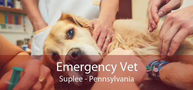 Emergency Vet Suplee - Pennsylvania