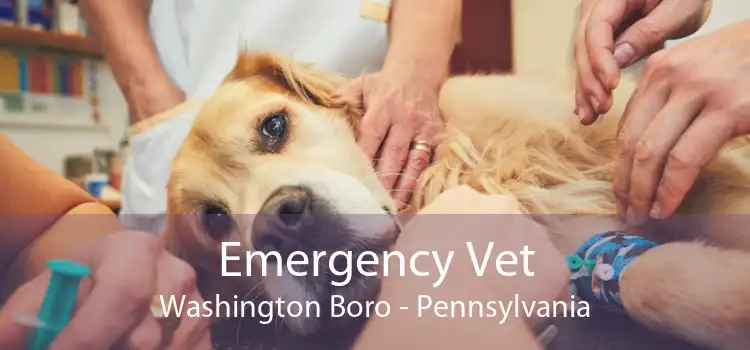 Emergency Vet Washington Boro - Pennsylvania