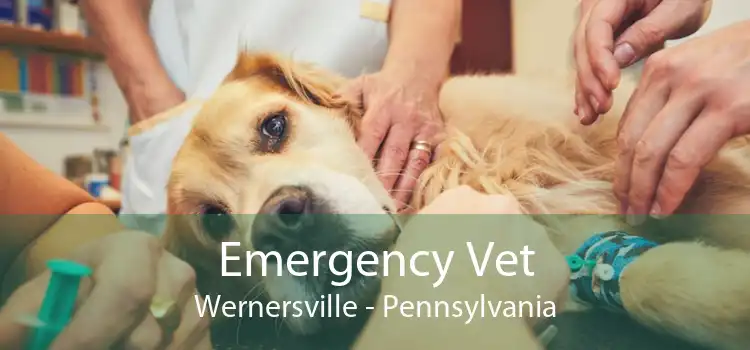Emergency Vet Wernersville - Pennsylvania