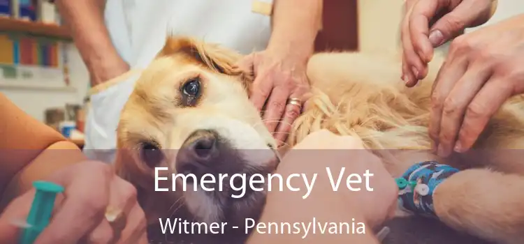 Emergency Vet Witmer - Pennsylvania