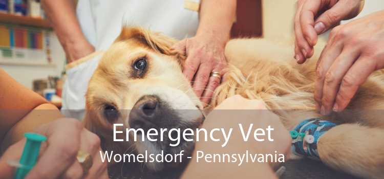 Emergency Vet Womelsdorf - Pennsylvania