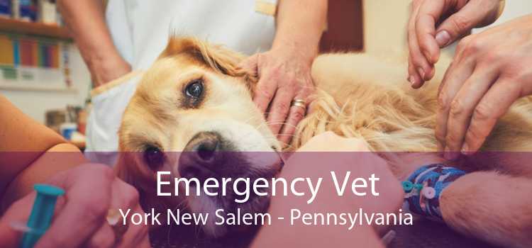 Emergency Vet York New Salem - Pennsylvania