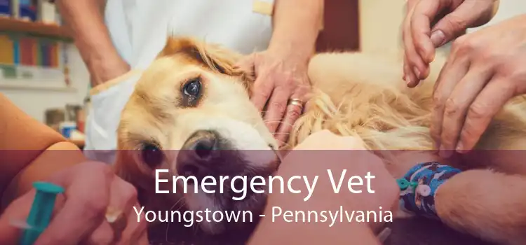 Emergency Vet Youngstown - Pennsylvania