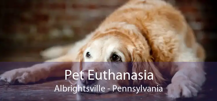 Pet Euthanasia Albrightsville - Pennsylvania