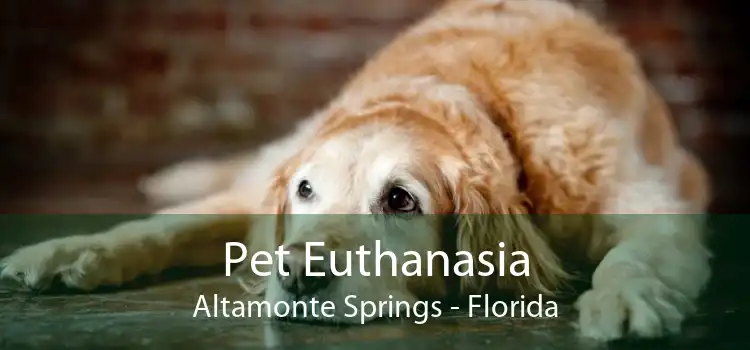 Pet Euthanasia Altamonte Springs - Florida