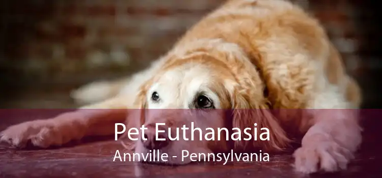 Pet Euthanasia Annville - Pennsylvania