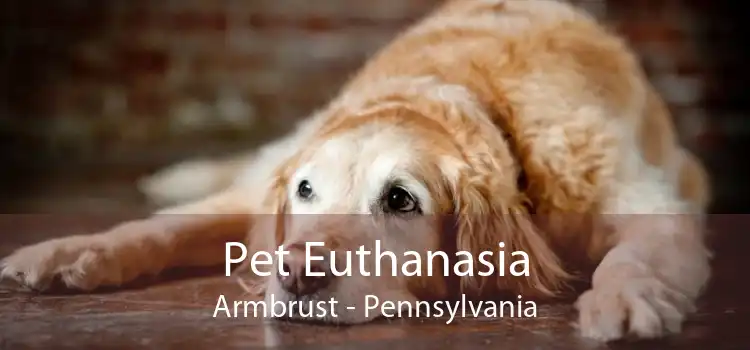 Pet Euthanasia Armbrust - Pennsylvania