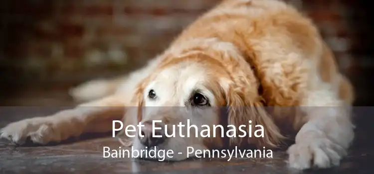 Pet Euthanasia Bainbridge - Pennsylvania