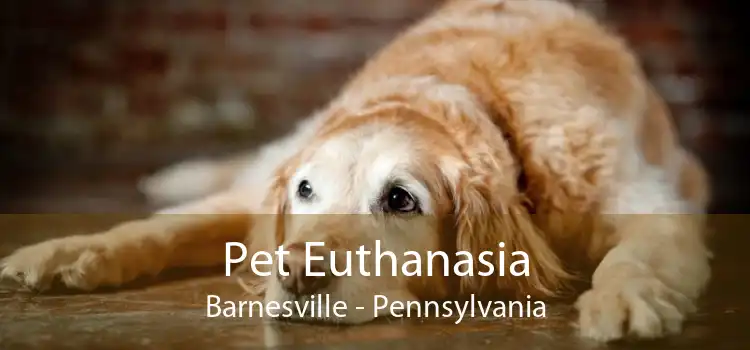 Pet Euthanasia Barnesville - Pennsylvania