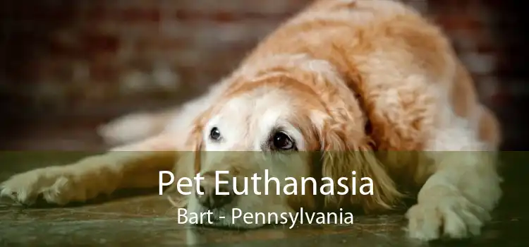 Pet Euthanasia Bart - Pennsylvania