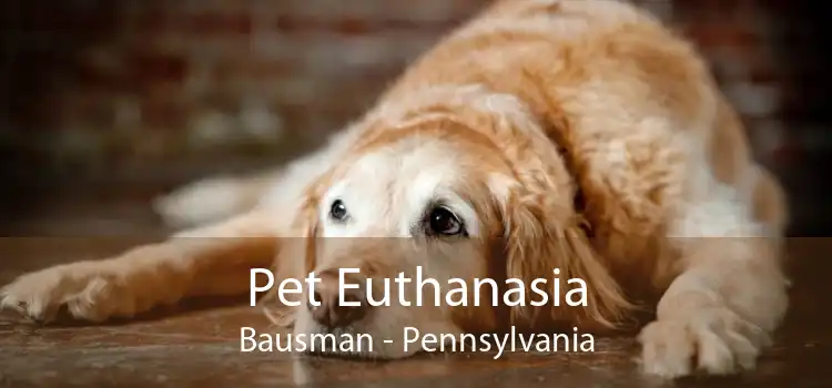 Pet Euthanasia Bausman - Pennsylvania