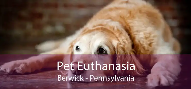 Pet Euthanasia Berwick - Pennsylvania