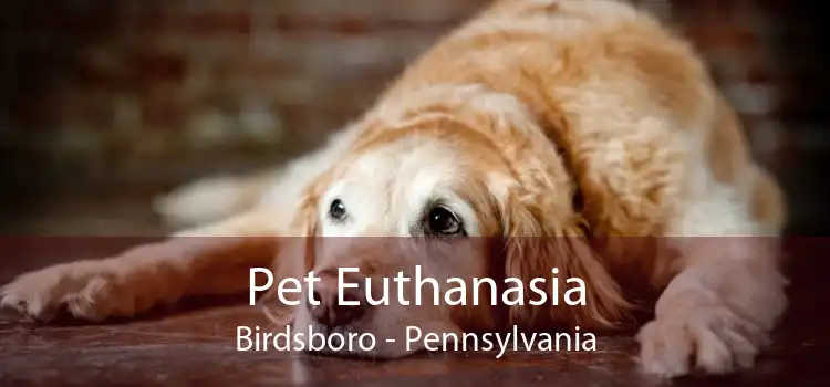 Pet Euthanasia Birdsboro - Pennsylvania