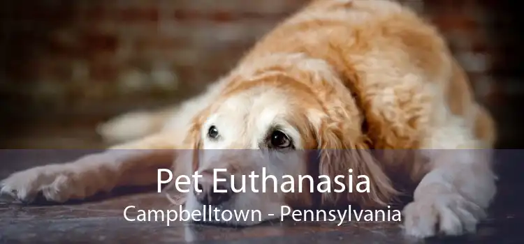 Pet Euthanasia Campbelltown - Pennsylvania