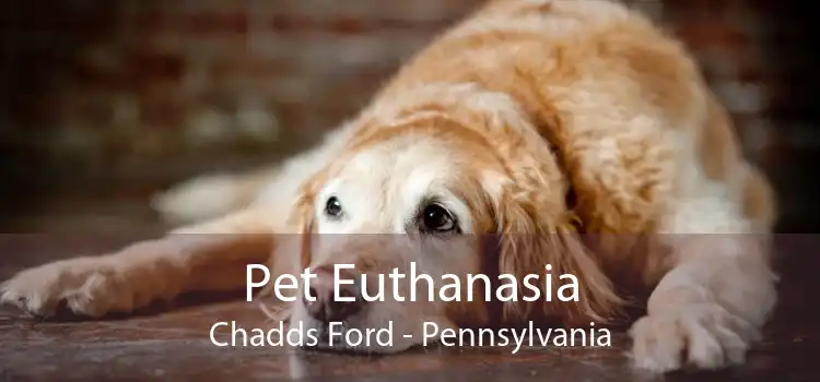 Pet Euthanasia Chadds Ford - Pennsylvania