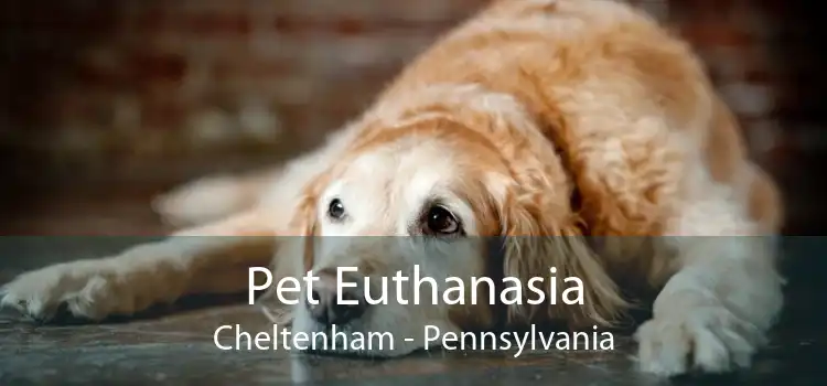 Pet Euthanasia Cheltenham - Pennsylvania