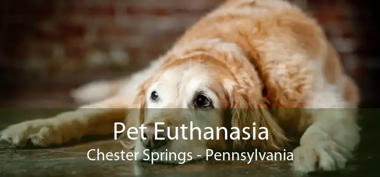 Pet Euthanasia Chester Springs - Pennsylvania
