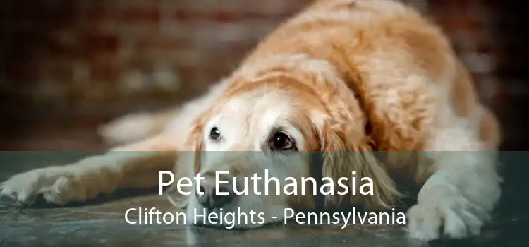 Pet Euthanasia Clifton Heights - Pennsylvania