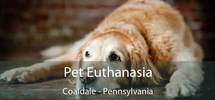 Pet Euthanasia Coaldale - Pennsylvania