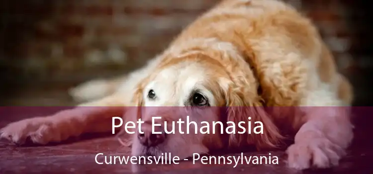 Pet Euthanasia Curwensville - Pennsylvania