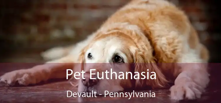 Pet Euthanasia Devault - Pennsylvania