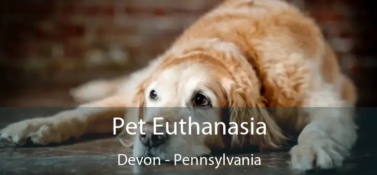 Pet Euthanasia Devon - Pennsylvania