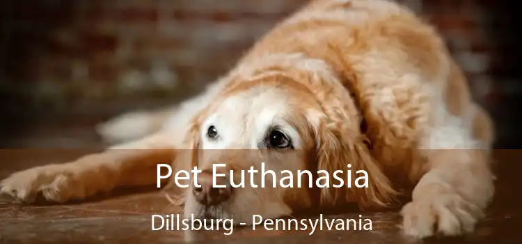 Pet Euthanasia Dillsburg - Pennsylvania