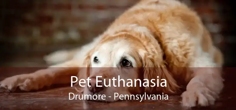 Pet Euthanasia Drumore - Pennsylvania