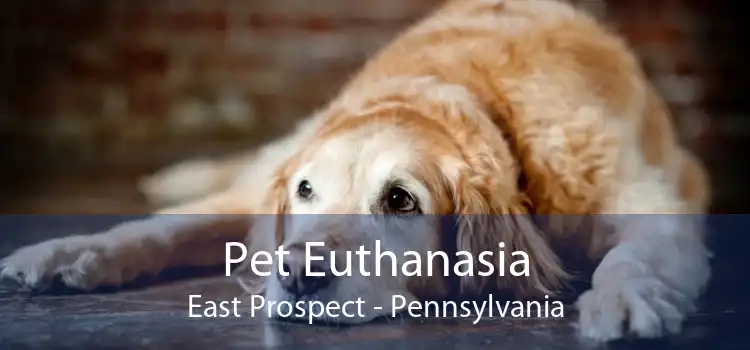Pet Euthanasia East Prospect - Pennsylvania