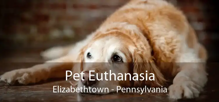 Pet Euthanasia Elizabethtown - Pennsylvania