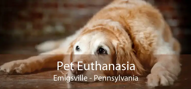 Pet Euthanasia Emigsville - Pennsylvania
