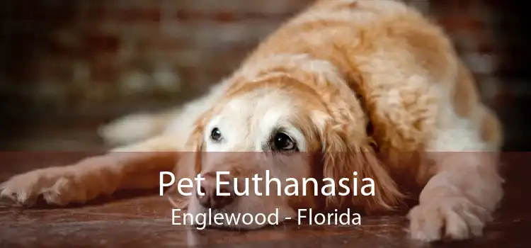 Pet Euthanasia Englewood - Florida