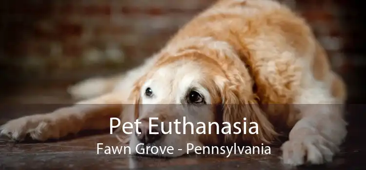 Pet Euthanasia Fawn Grove - Pennsylvania